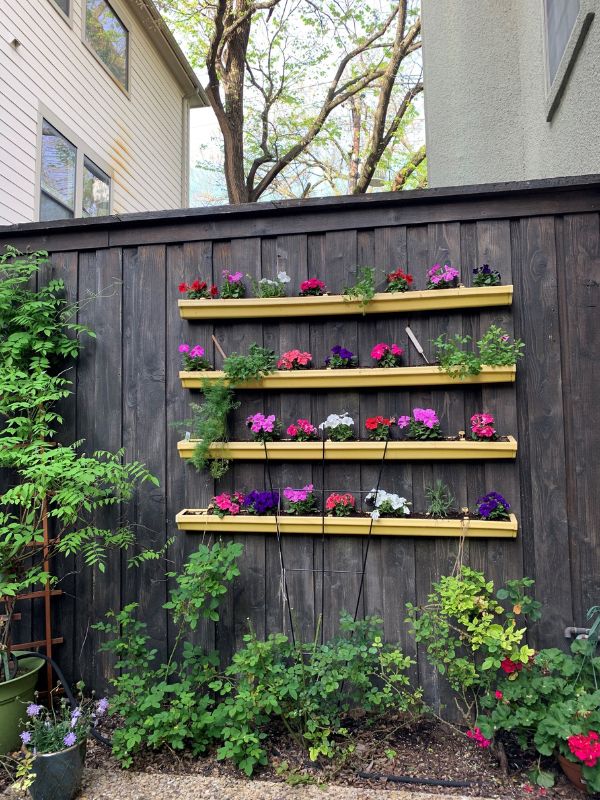 Garden at the home of a prospective adoptive mom in Dallas