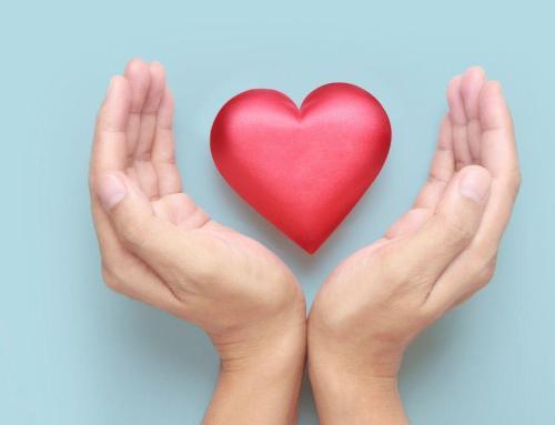 Nonprofits We Love – And Why We Think They’re Awesome