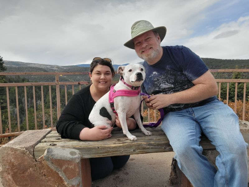 Dog and white bull terrier on a park bench