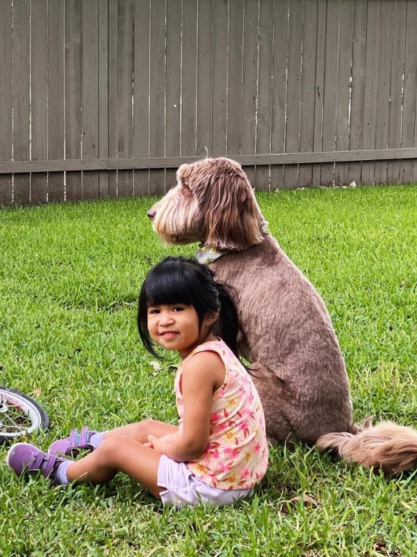 Brisket, the family dog of a Texas couple who want to adopt, with their adopted daughter.