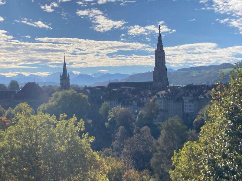 View from Texas adoptive family's home in Switzerland.