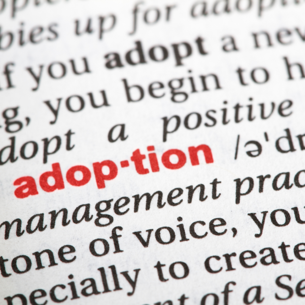 Definite of Adoption in Dictionary